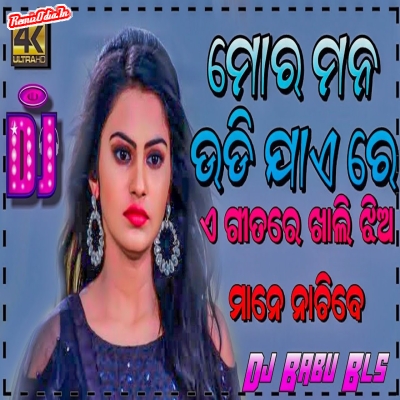 Mora Mana Udi Jaye Re Odia Dj